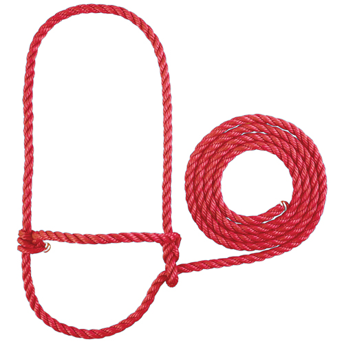 CALF ROPE HALTER W/LEAD-RED