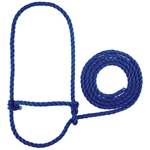 CALF ROPE HALTER W/LEAD-BLUE