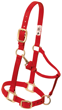 LARGE ADJUST. HALTER 1" RED