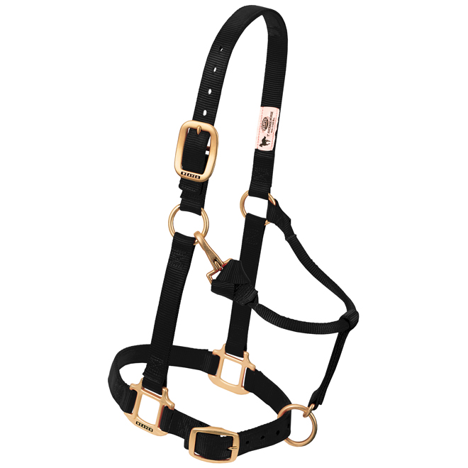 WEANLING ORIG. HALTER-BLACK