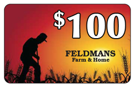 FELDMANS GIFTCARD $100