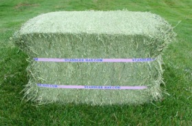 PREMIUM COMPRESSED ALFALFA BALE