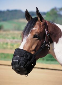 GRAZING MUZZLE SMALL