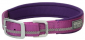 3/4X15" TRRN LND COLLAR PURPLE