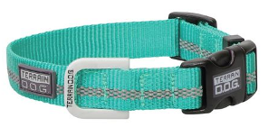 LG TRN SNAP N GO COLLAR MINT