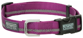 SM TRN SNAP N GO COLLAR PURPLE