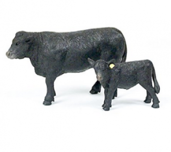 ANGUS COW & CALF