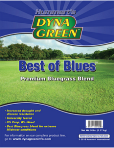 5# D-GN BEST OF BLUES