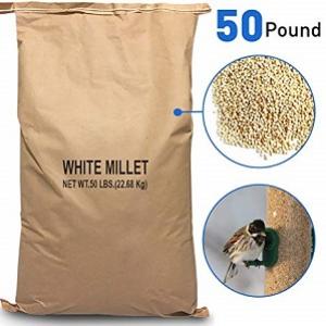 50# WHITE MILLET