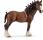 CLYDESDALE GELDING