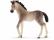 ADALUSIAN, FOAL