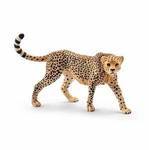 CHEETAH FEMALE