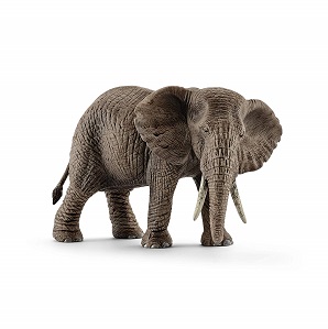 AFRICAN ELEPHANT, FEMALE