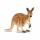 KANGAROO