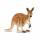 KANGAROO