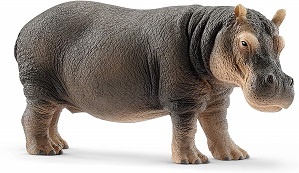 HIPPOPOTAMUS