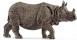 INDIAN RHINOCEROS