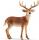 WHITE TAILED BUCK (14709)