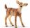 WHITE TAILED FAWN (14711)