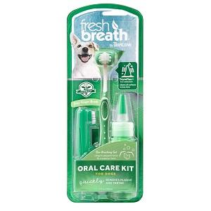 FRSH BRTH ORAL CARE KIT 2OZ