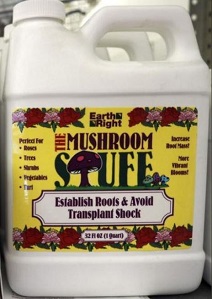 MUSHROOM STUFF QUART