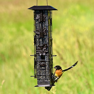 SQUIRREL-BE-GONE FEEDER