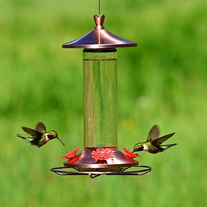 ELEGANT COPPER GLASS HUM FEEDER