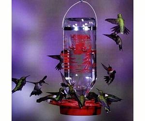 HUMMINGBIRD FEEDER 32OZ BULK