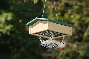 UPSIDE DOWN SUET FEEDER