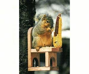 SQUIRREL FEEDER CHAIR