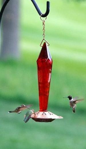 FACETED RUBY HUMMINGBIRD FEEDER