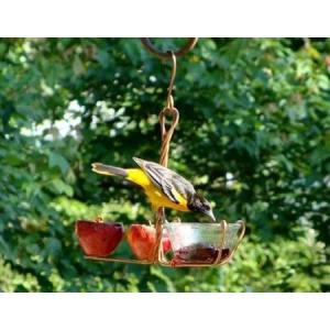 FRUIT AND JELLY FEEDER