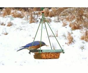 HANGING MEALWORM DISH FEEDER