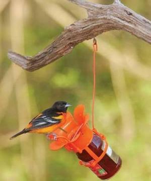 JELLY/JAM FEEDER