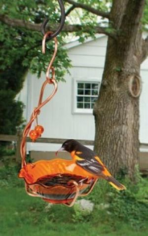 ORIOLE JELLY FEEDER SINGLE CUP