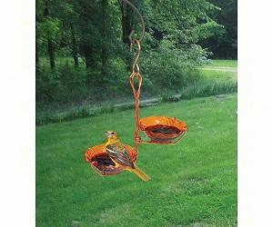 ORIOLE JELLY FEEDER DOUBLE CUP