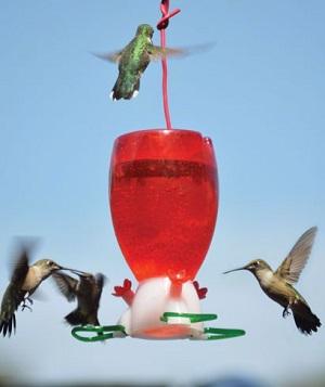 BIG RED HUMMINGBIRD FEEDER