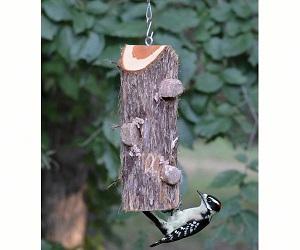 3 PLUG SUET LOG WITHOUT PERCHE