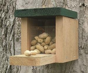 SQUIRREL FEEDER SNACK BOX