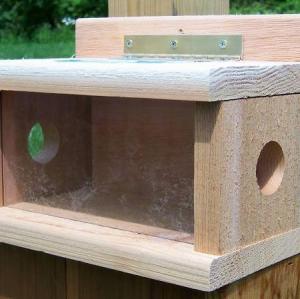 POST MOUNT BLUE BIRD FEEDER