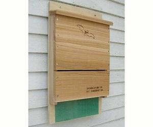 OBC BAT HOUSE SINGLE CHAMBER