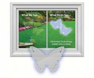 BUTTERFLY WINDOW DECAL 4PK