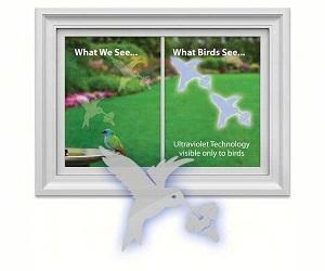 HUMMINGBIRD WINDOW DECAL 4PK