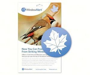 MAPLE LEAF WINDOW DECAL 4PK