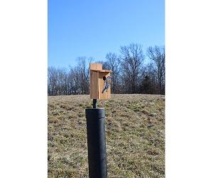 CEDAR BLUEBIRD HOUSE