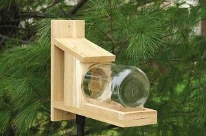 SQUIRREL JAR FEEDER