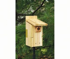 ULTIMATE BLUEBIRD HOUSE