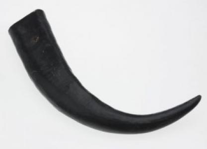 LARGE BULLY HORN