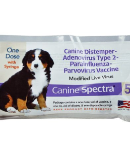 CANINE SPECTRA 5 WAY W/SYRINGE