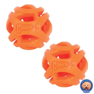 CHUCK IT 2PK AIR FETCH BALL